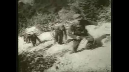 7ма Сс доброволческа планинска дивизия ''принц Ойген''