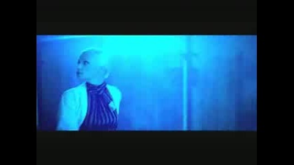Don Omar - Virtual Diva
