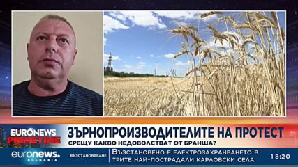 Зърнопроизводителите на протест: Срещу какво недоволстват от бранша?