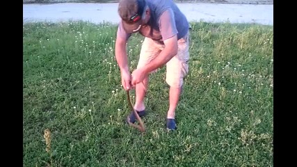 Иван морки и смока