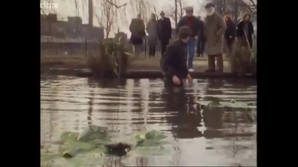 Three grand butterfly - Only Fools and Horses - Bbc 