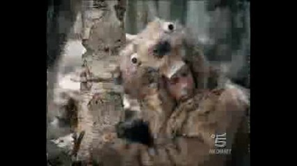 Spot Vivident Xylit - I Castori In Finlandia