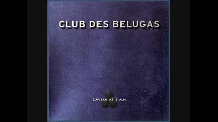 club des belugas - tarrangoo