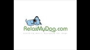 Sounds to help your dog relax