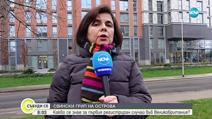 СВИНСКИ ГРИП НА ОСТРОВА: Какво се знае за първия регистриран случай