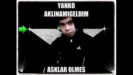 yasar 6
