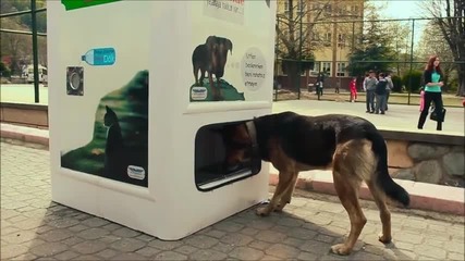 Машина, която приема празни бутилки и дава храна на кучетата