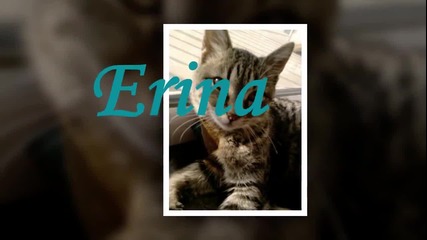 Ерина ( Erina Video for Germany )