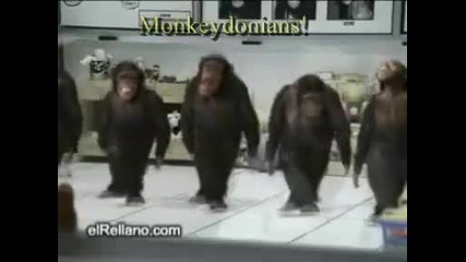 маймунски танц! яко хоро 