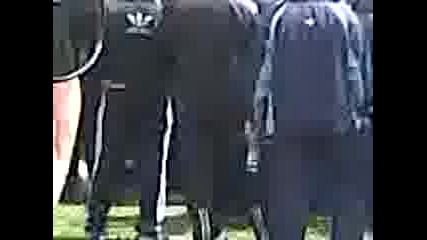 Рок Събор 2008 Ямбол