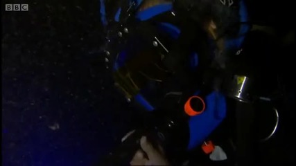 Underwater fluorescence disco - Oceans - Bbc 