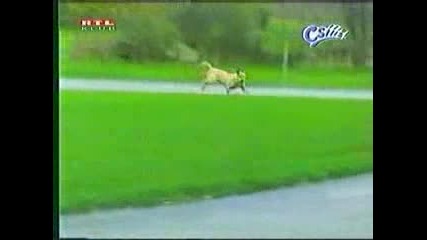 Ще се засмеете след 3 секунди
