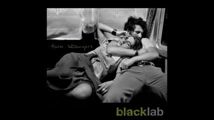 Black Lab - Dying just to hold you