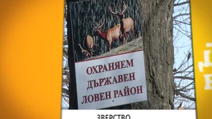 В "Здравей, България" на 2 февруари очаквайте