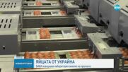 БАБХ: 2,6 млн. яйца са внесени у нас от Украйна и Латвия