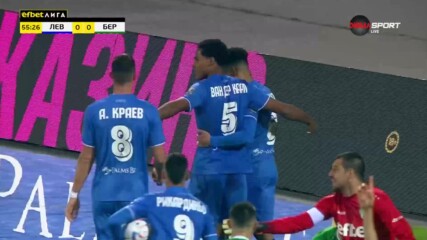 Част от изявите на Ван дер Каап с екипа на Левски