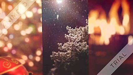 Stille Nacht, heilige Nacht / Peter Alexander