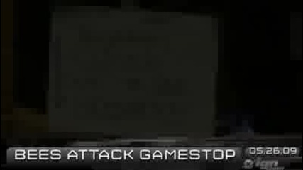 Daily Fix,  5 - 26 Modern Warfare 2 amp; Bees Attack Gamestop