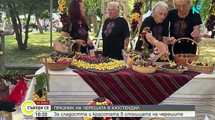 Празник на черешата в Кюстендил