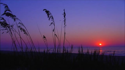 Majai - Emotion Flash (sunny Lax Vocal Remix)