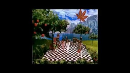 Swoop - Apple Eyes 