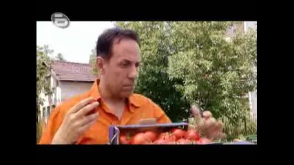 Аламинут - Пиукащите Домати
