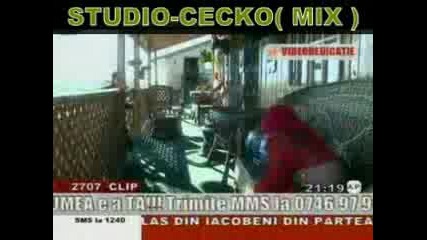 Ionut Cercel I Cecko (mix)