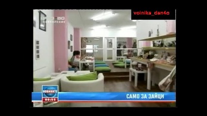 Само за зайци!