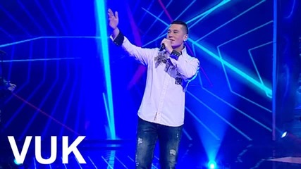 Vuk Moja Vilo Audio 2015