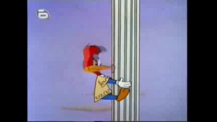 The Woody Woodpecker Show 