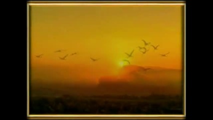 Puccini - O mio babbino caro