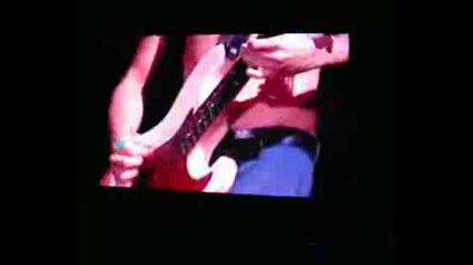 John Frusciante Bass Flea Trumpet