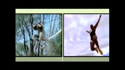 Korn - Evolution