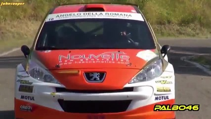 Rally Valli del Giarolo 2013