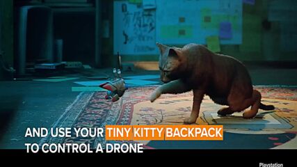 Here are the new cat games you don’t want to miss!