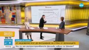 „Ловци на лъжи”: Кои са най-разпространяваните фалшиви новини за Шенген
