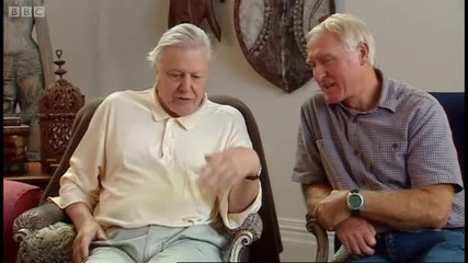 David Attenborough plays with cute baby gorillas - Bbc