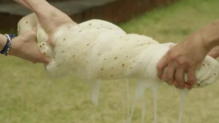 Noble, My Love E18