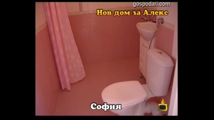 Нов дом за Алекс