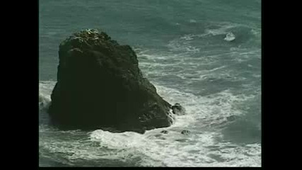 Olympic National Park Pt.1 
