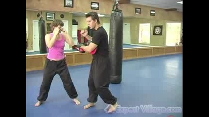 Exercises Kickboxing technique shin kick 