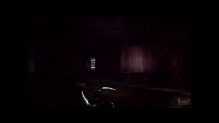 Dark Sector
