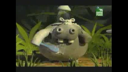 Animal Planet 