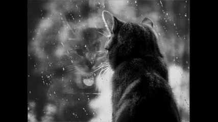 [!] Превод [!] Sublime - The rain ...