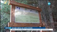 Дават за "осиновяване" реконструираните пътеки във Витоша