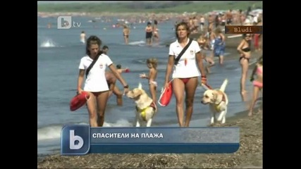 Кучета - Спасители на плажа 