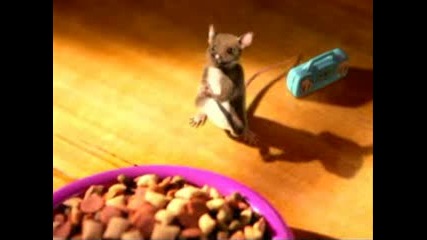 Whiskas is the Best :D