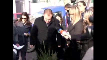 Горските хванали над 3000 незаконно отсечени елхи