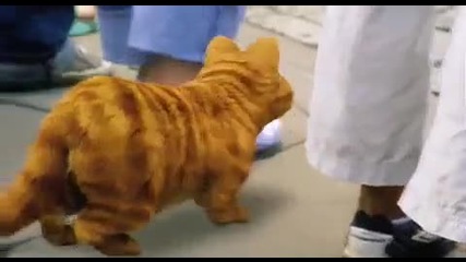 Garfield a Tail of Two Kitties Trailer Hd (hq) 