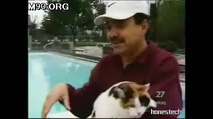Котка Плувец